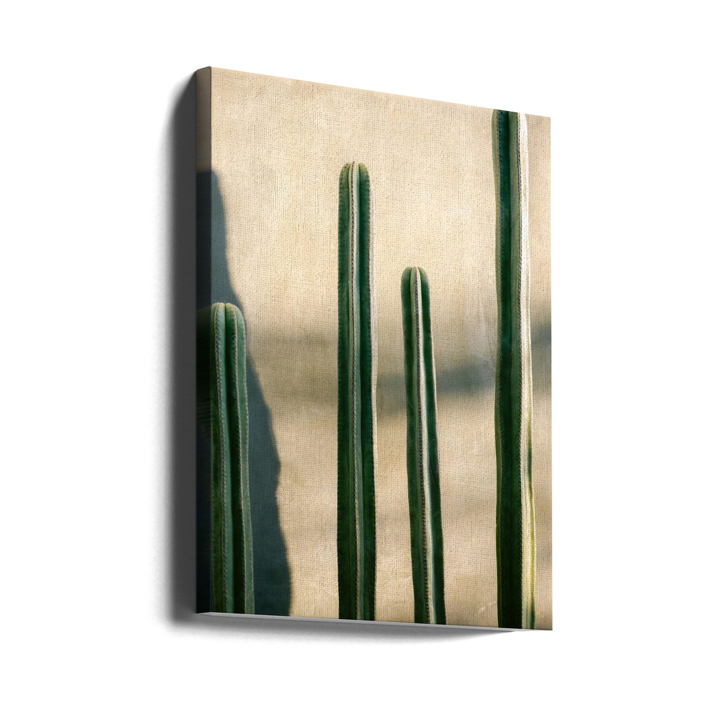 Oaxaca Shades of Green | Mexico travel photography | Canvas