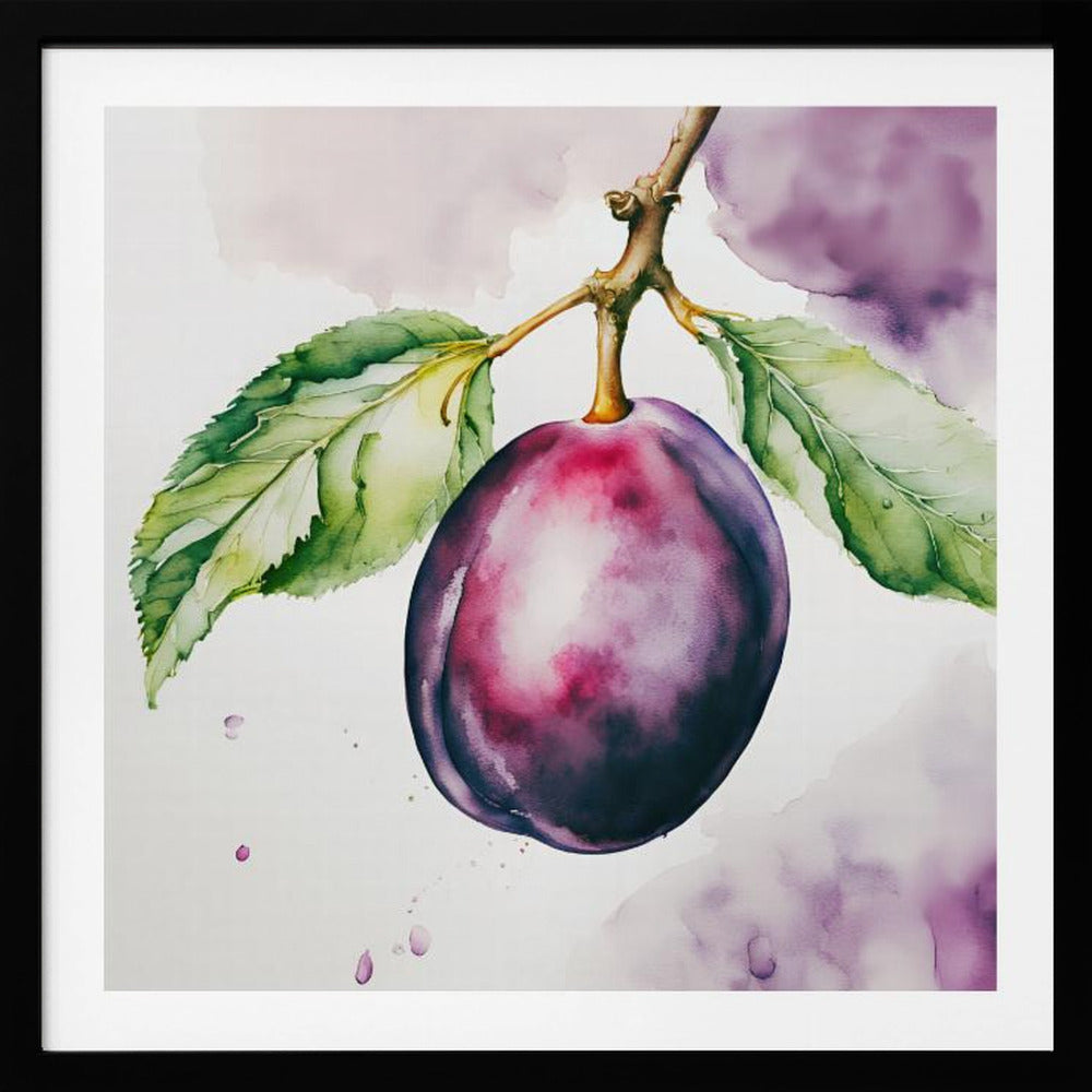 Pflaume, Aquarell, ink | Poster - Kunstdruck