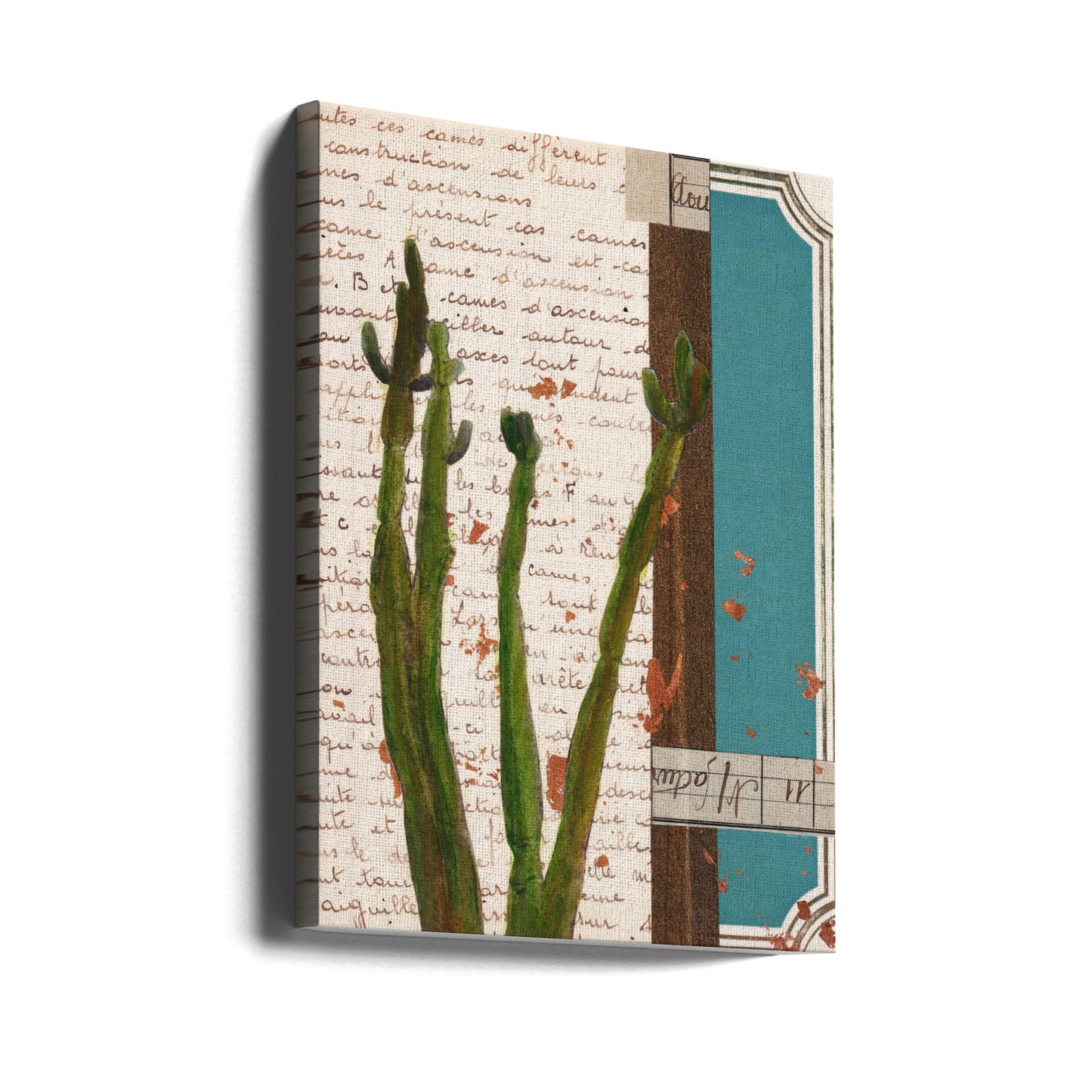 Kaktus I | Canvastaulut