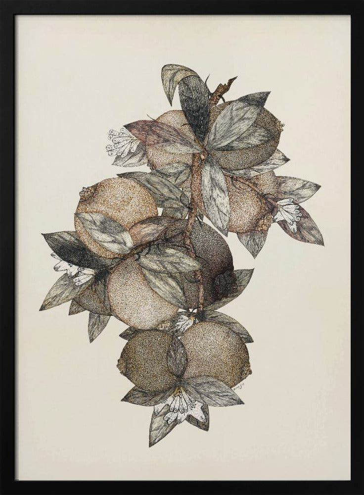 Granatapfel (1867) Rufus King | Poster