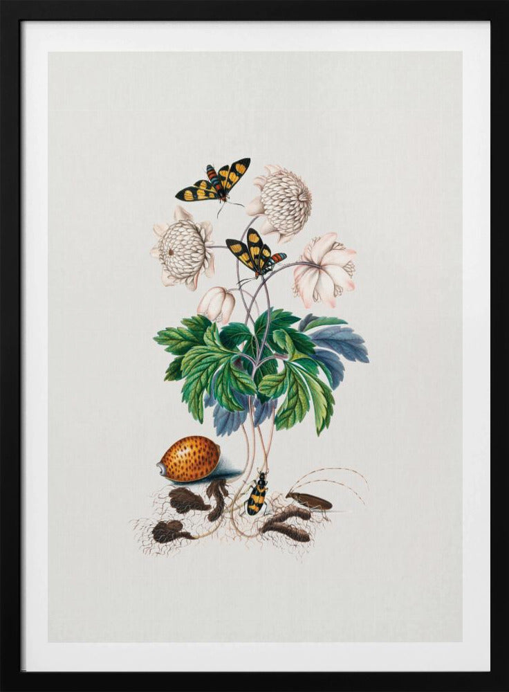 Double flower cultivar | Poster