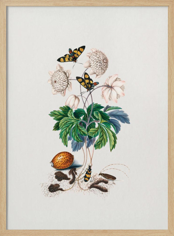 Double flower cultivar | Poster