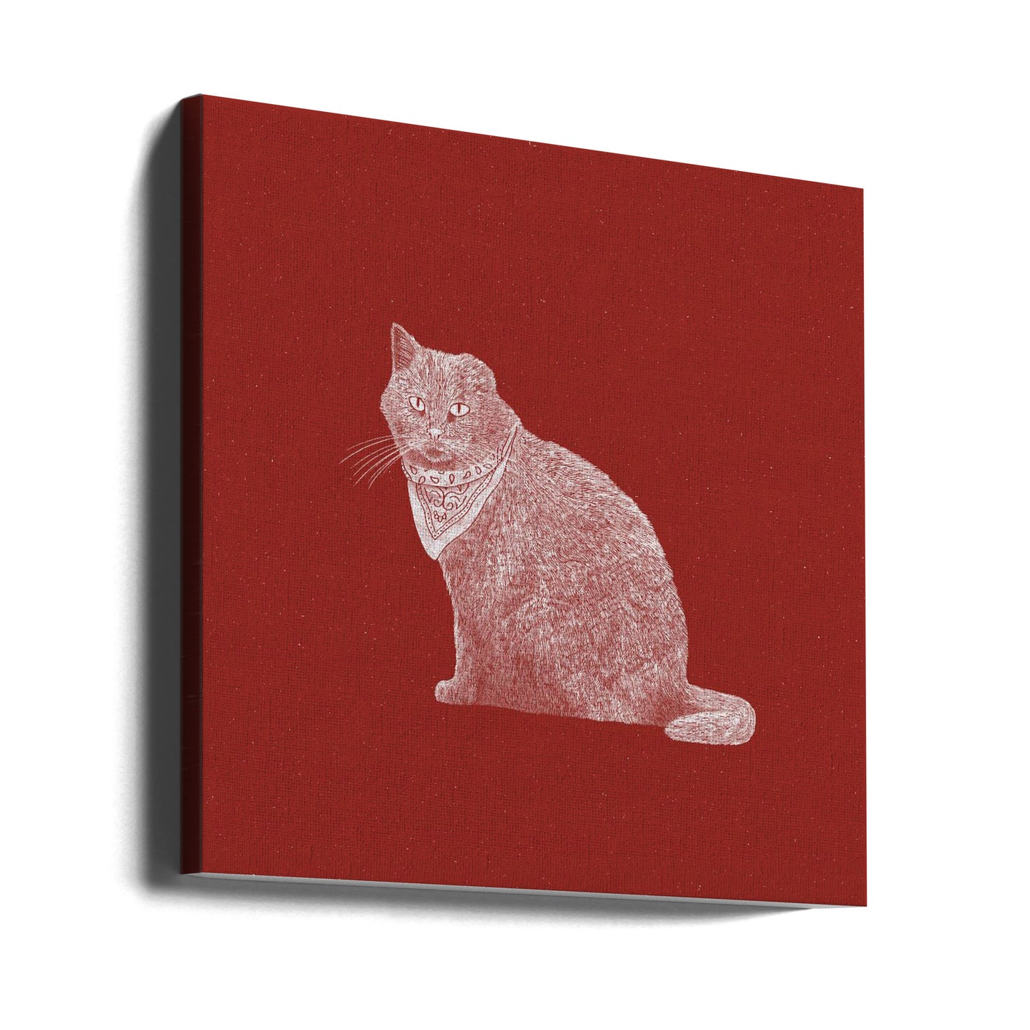 Knallharte Banditenkatze | Leinwand-Bilder