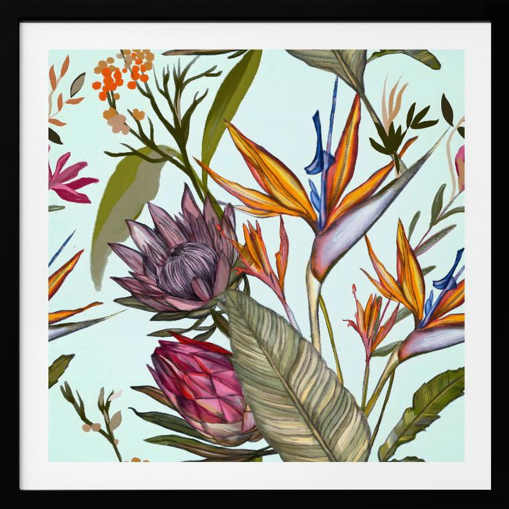 Proteas and Iris | Poster