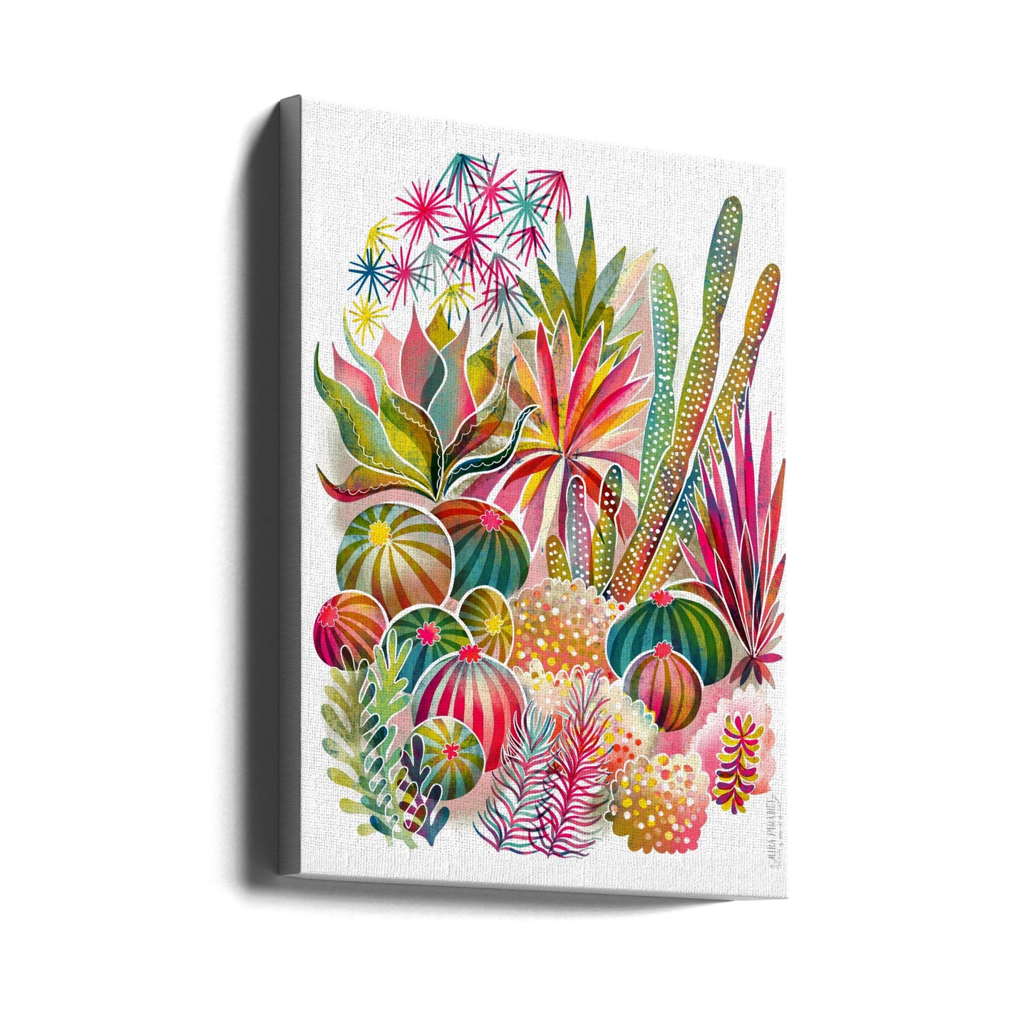 Flowering Succulent and Cacti Garden | Canvas