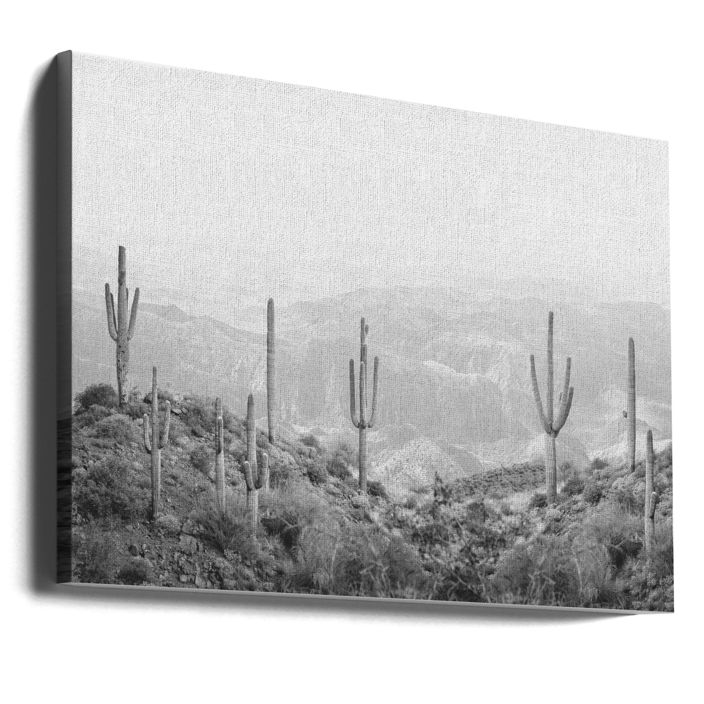 Western Cactus | Canvas