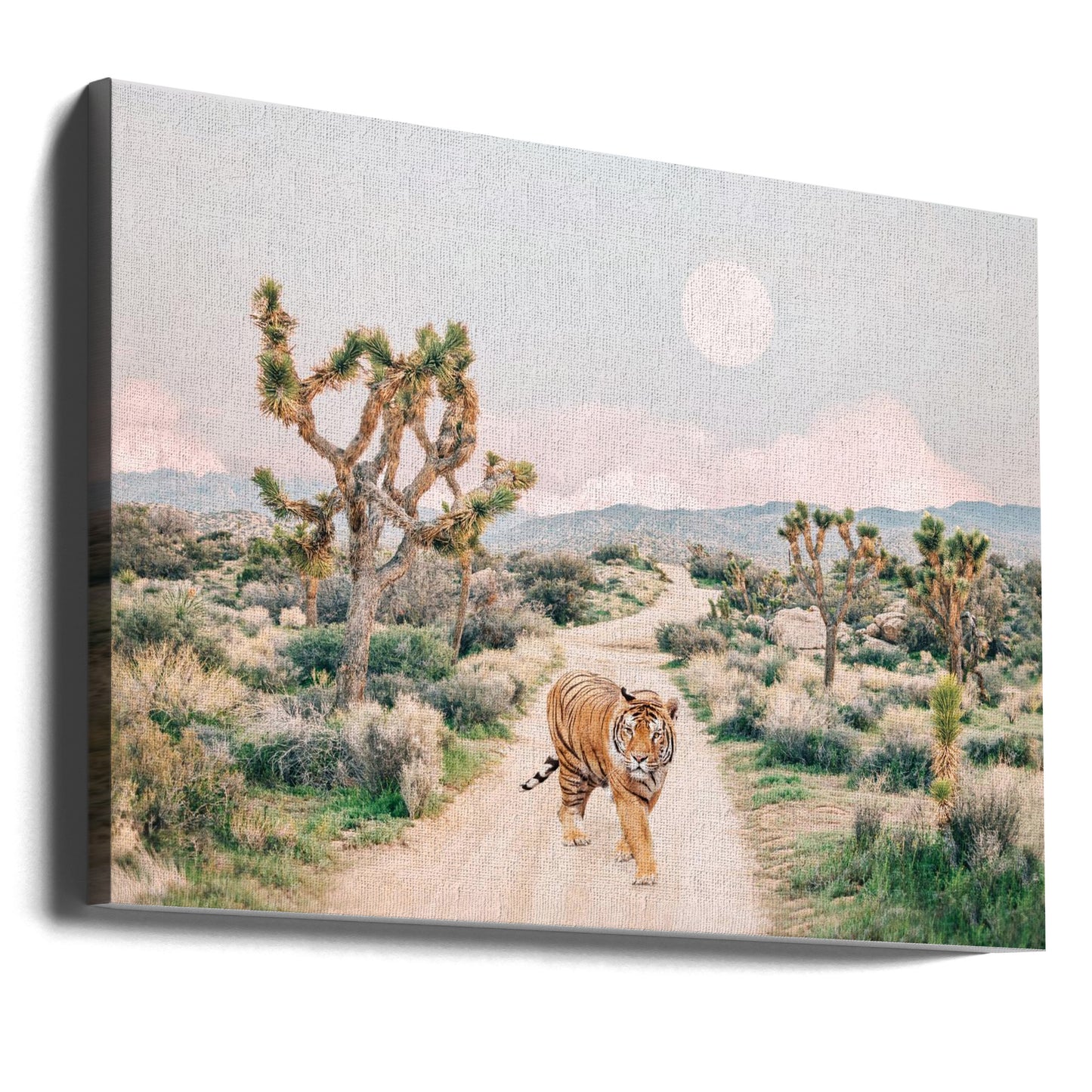 Wandering Tiger | Canvas