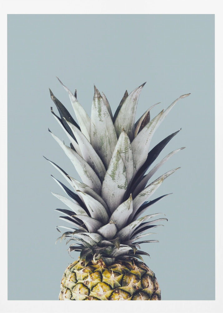 Ananas 1 | Poster