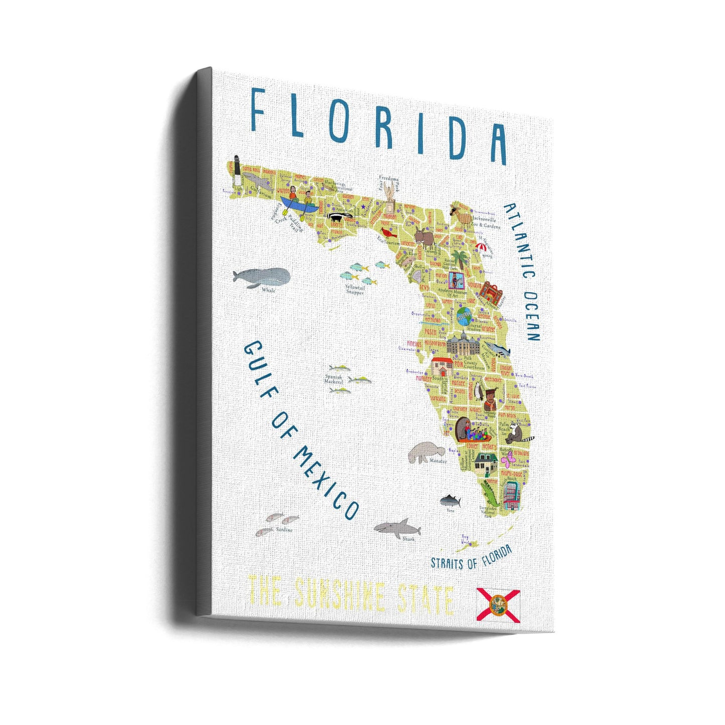 Ilustrowana mapa Florydy autorstwa artystki Carli Daly | Wydruki na łótnie