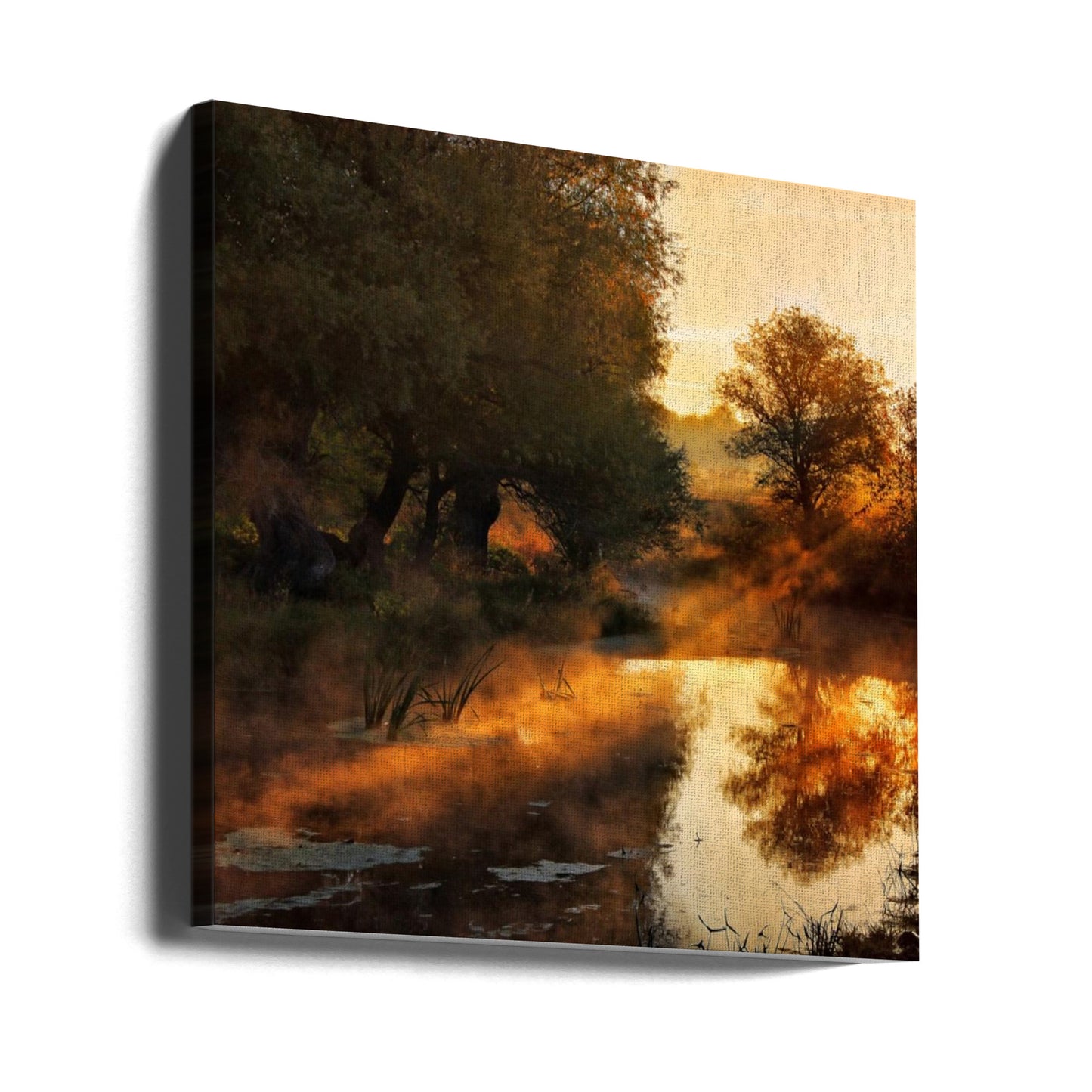 When nature paints with light I | Canvas