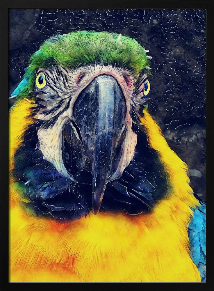 Tiere Papagei Aquarell Tierkunst | Poster