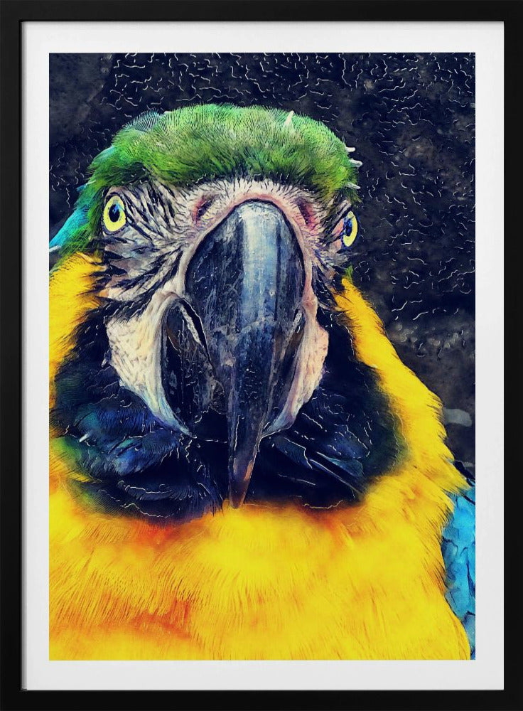 Tiere Papagei Aquarell Tierkunst | Poster