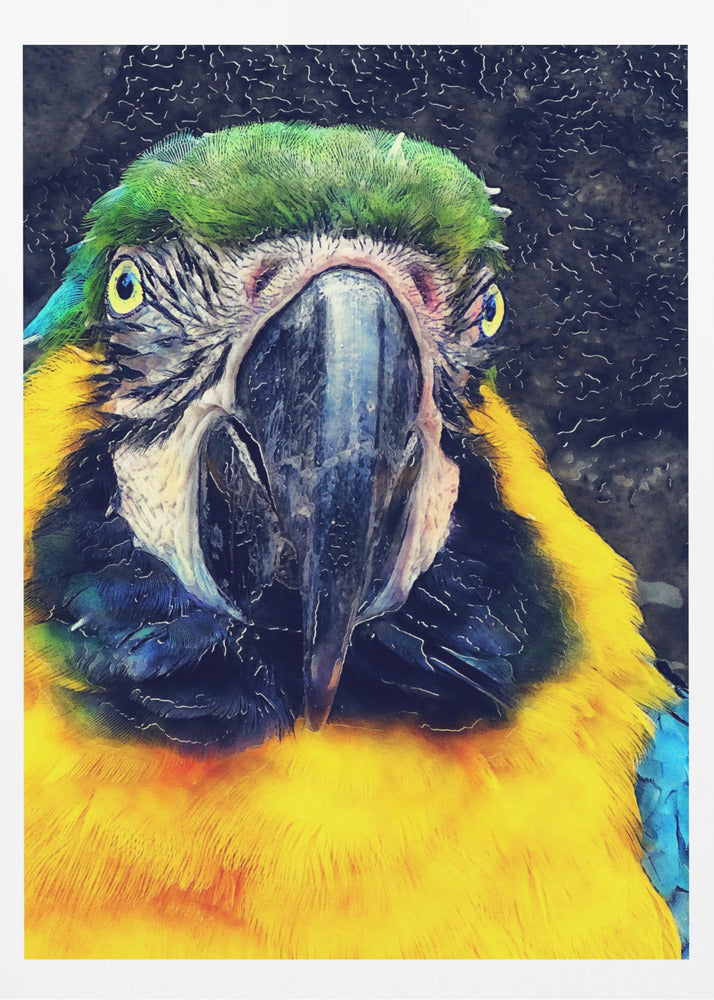 Tiere Papagei Aquarell Tierkunst | Poster