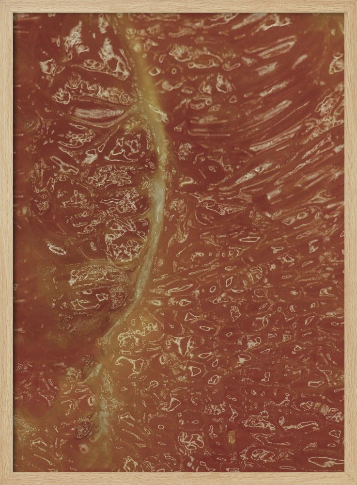 Zitrusmosaik | Poster