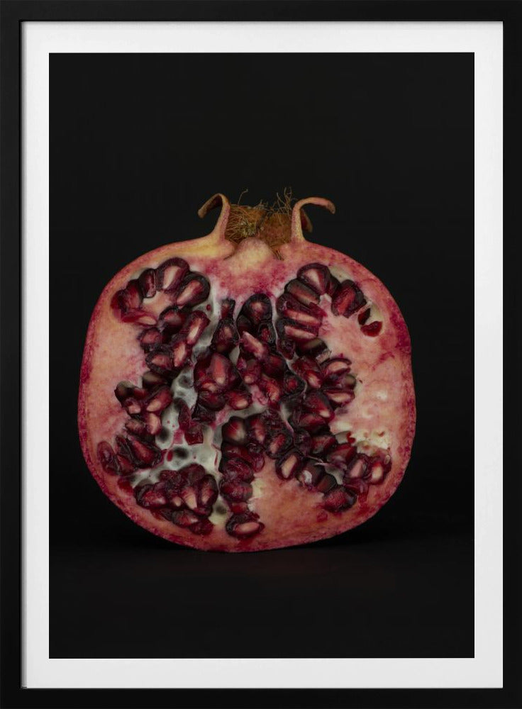 Samenherz | Poster
