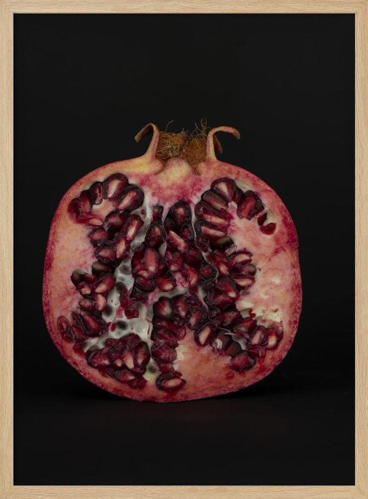 Samenherz | Poster