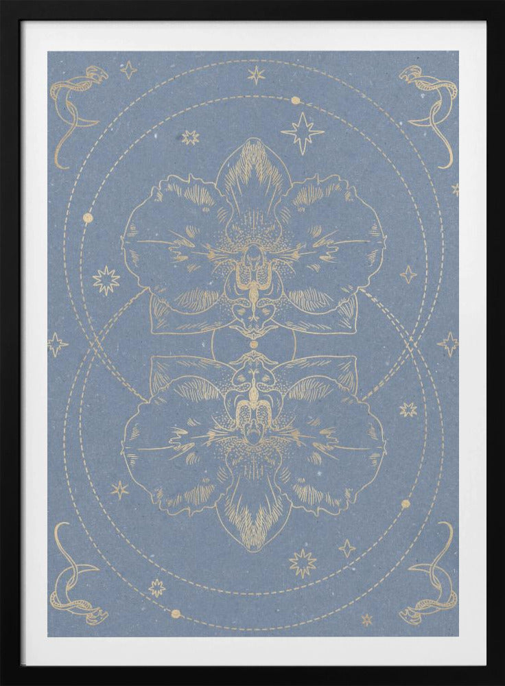 The mystical orchid | Poster
