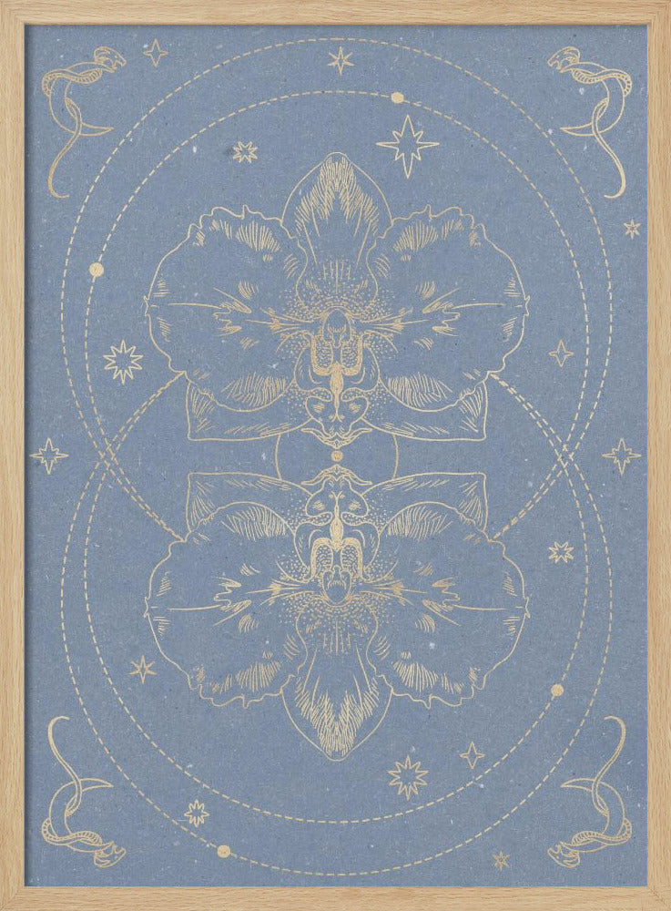 The mystical orchid | Poster