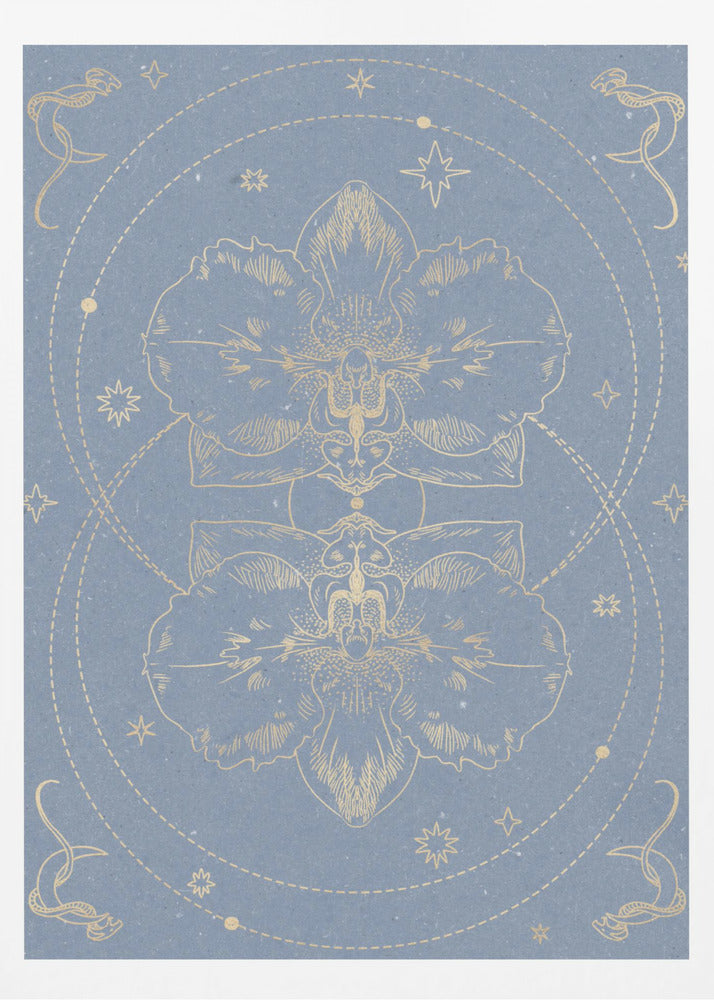 The mystical orchid | Poster