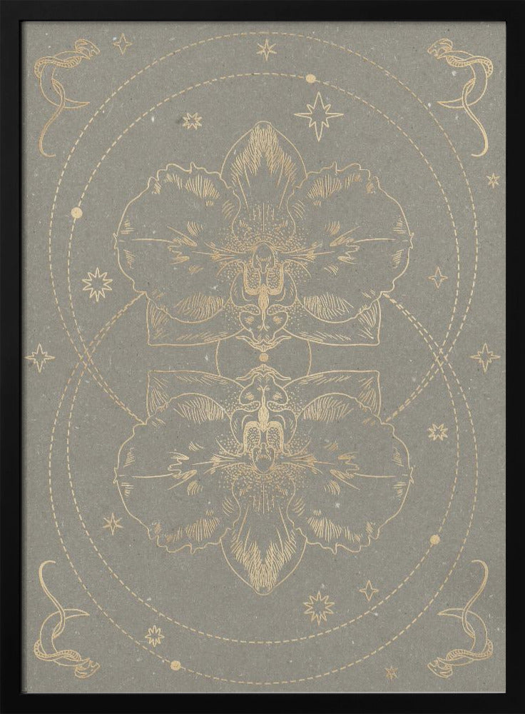 The mystical orchid | Poster