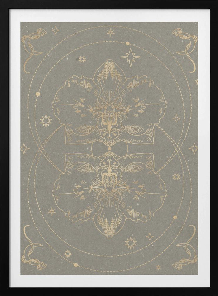 The mystical orchid | Poster