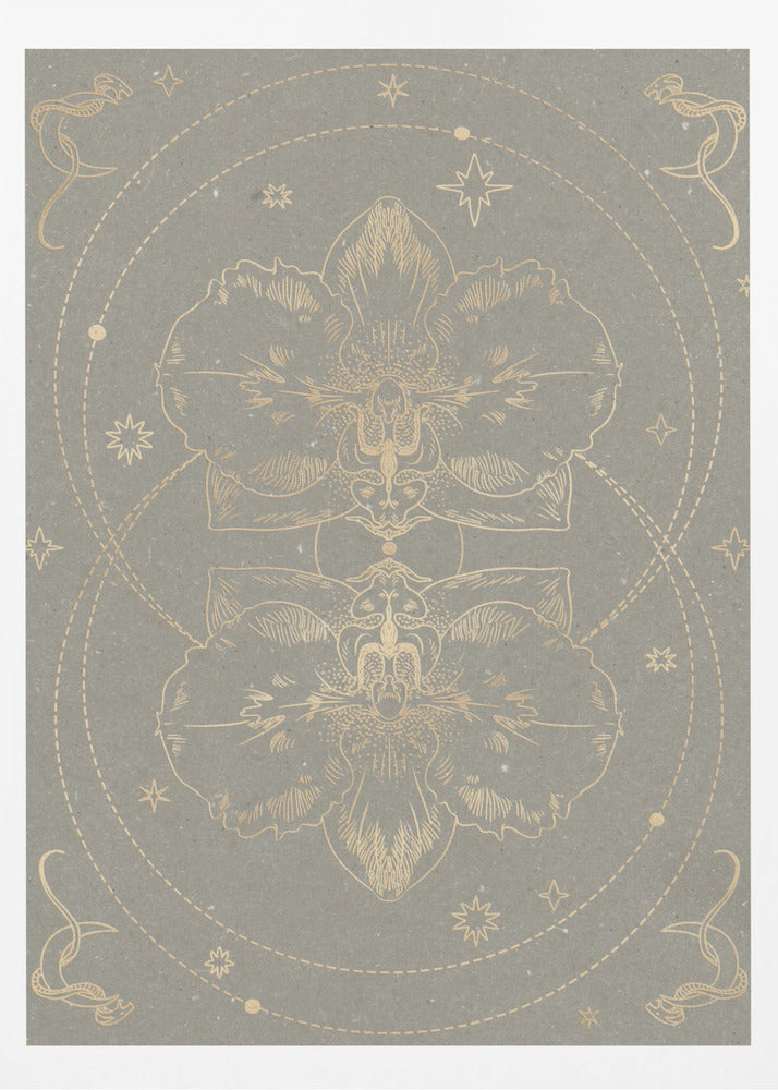 The mystical orchid | Poster