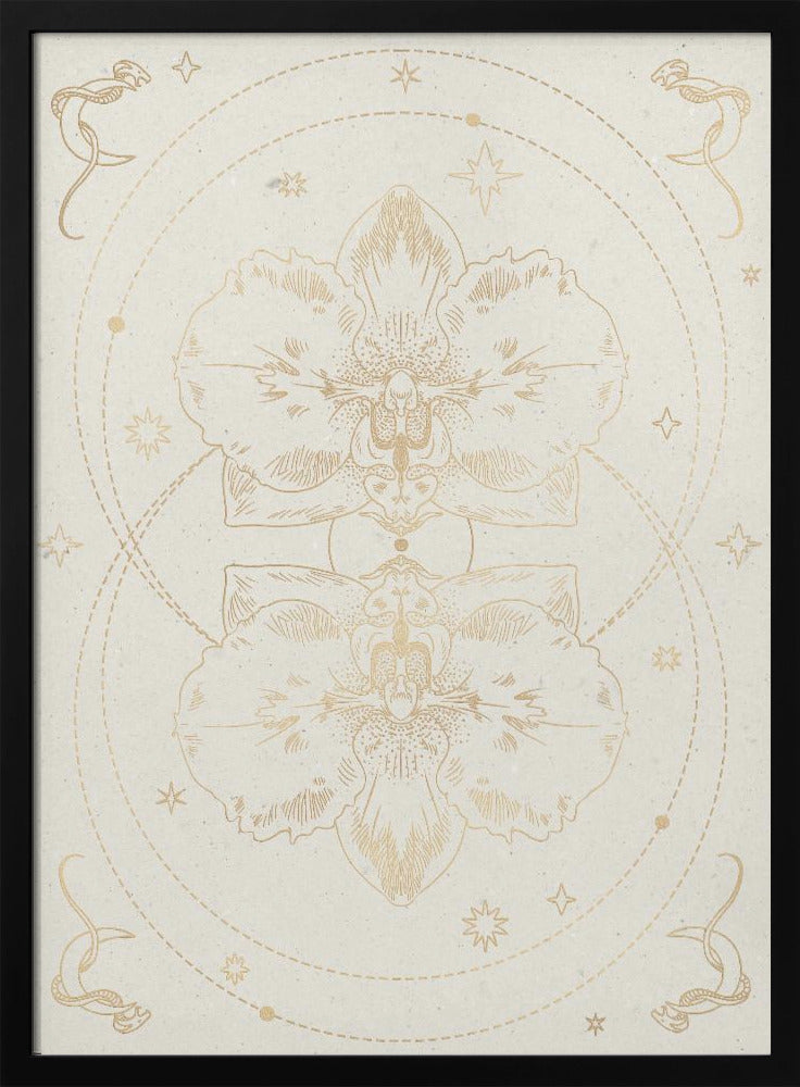 The mystical orchid | Poster