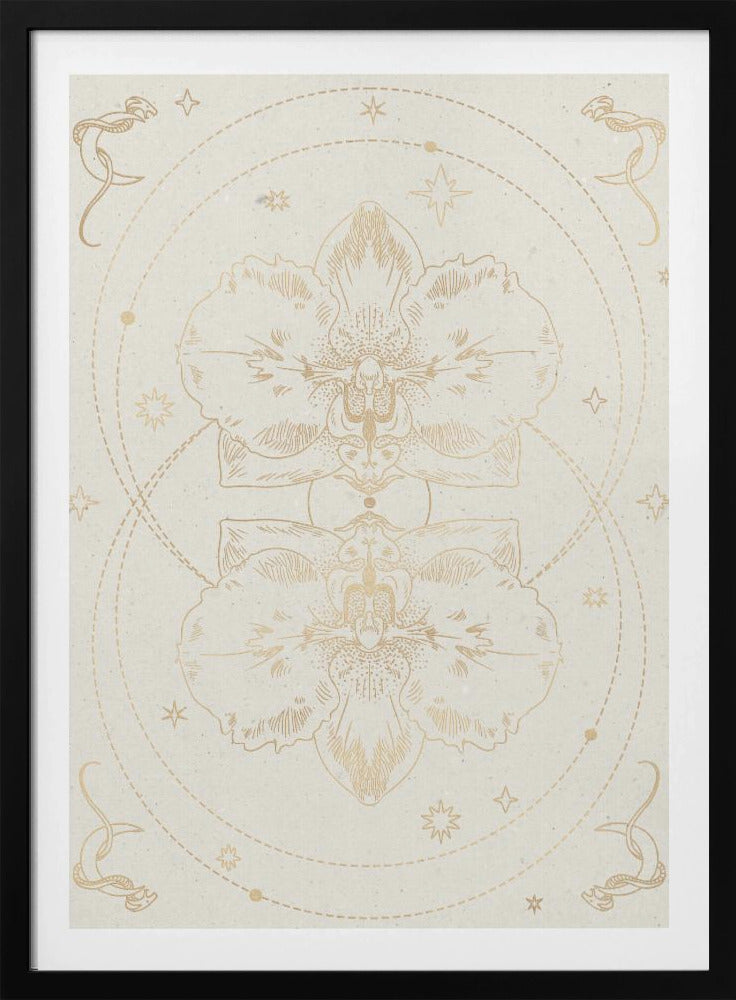The mystical orchid | Poster