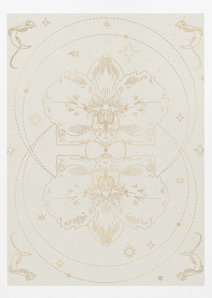 The mystical orchid | Poster