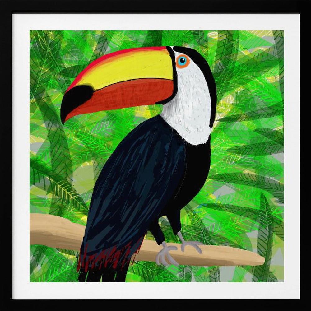 Toucan Tropical Bird by Artist Carla Daly | Poster