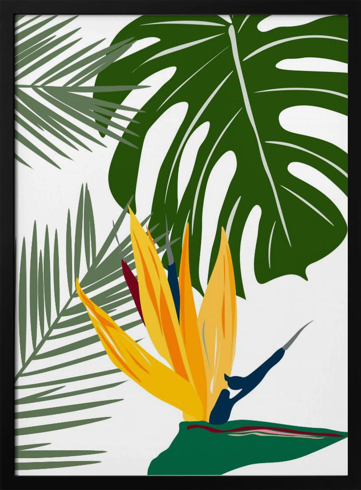 Monstera Y Palma | Poster