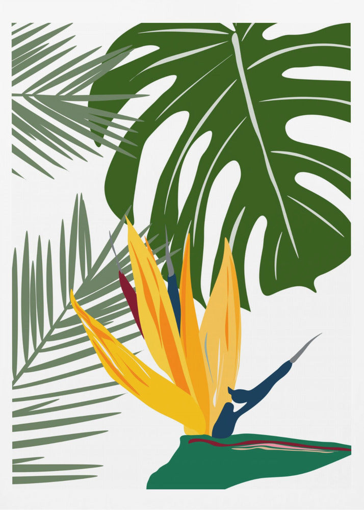 Monstera Y Palma | Poster
