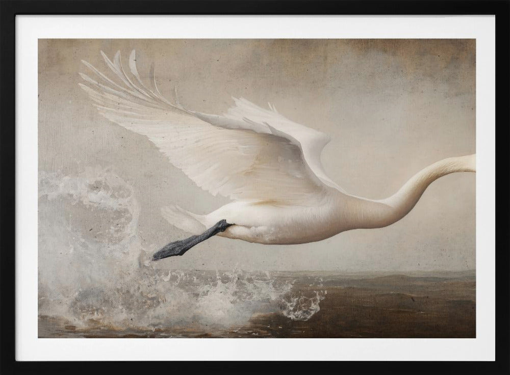 Anmutiger Flug | Poster