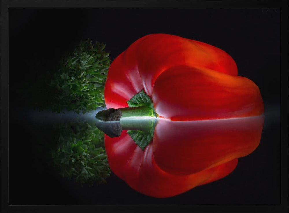 Picado... | Posters  - Impresiones de Arte