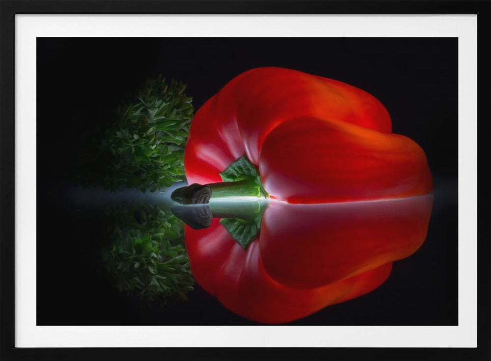 Picado... | Posters  - Impresiones de Arte