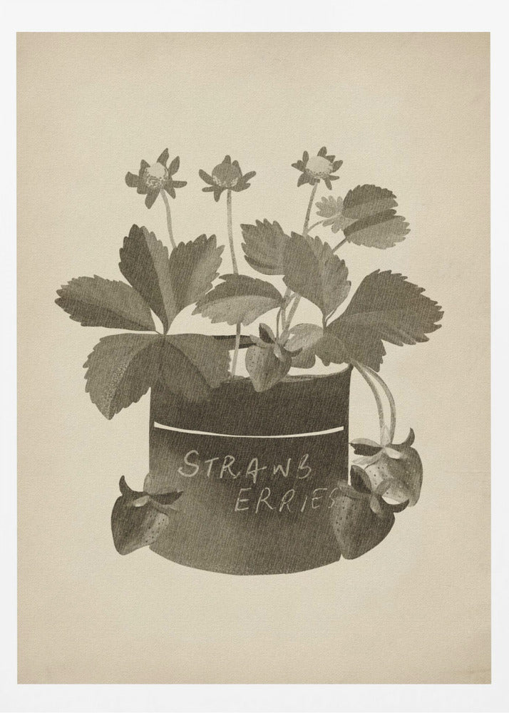 Vintage Erdbeerpflanze | Poster