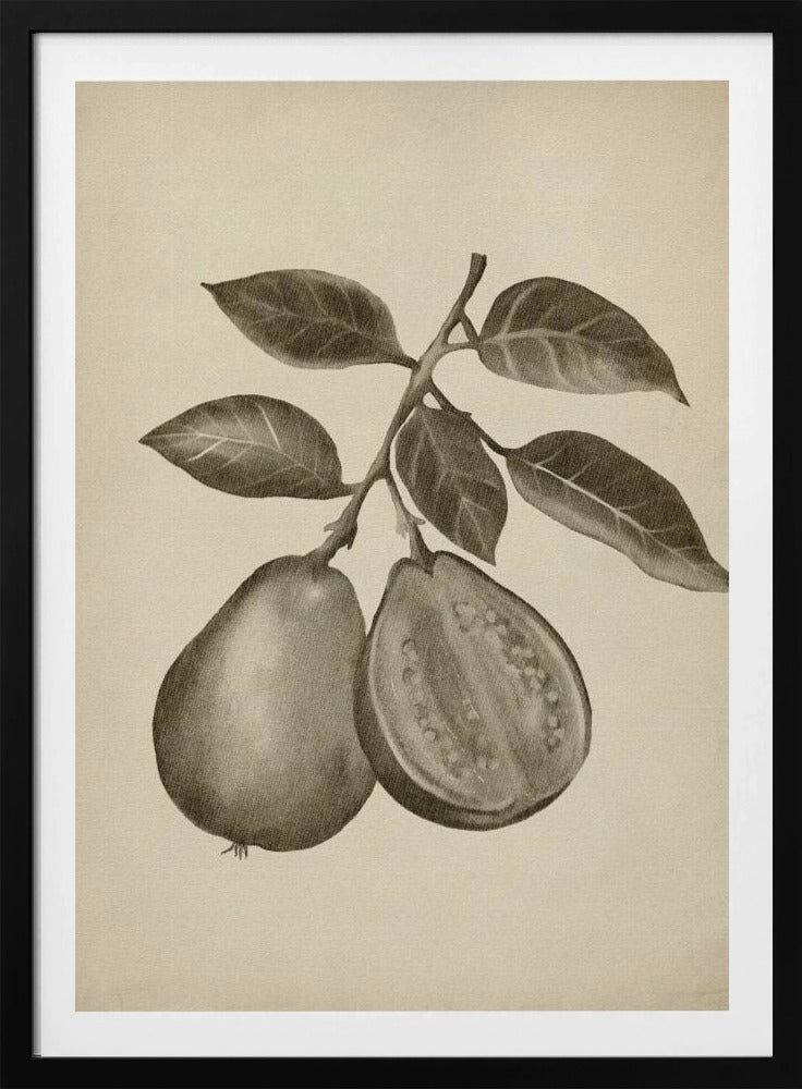 Vintage-Obst | Poster