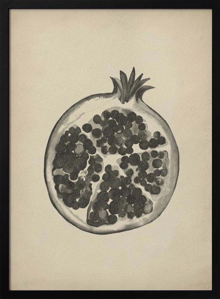 Vintage Granatapfel | Poster
