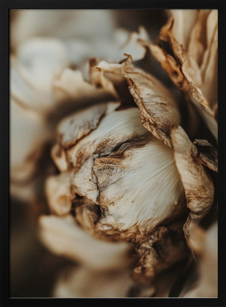 Flüsternde Blütenblätter | Poster