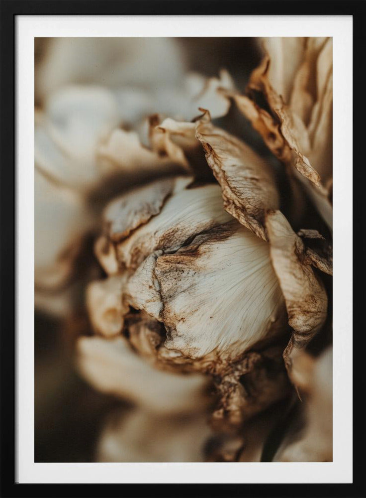 Flüsternde Blütenblätter | Poster