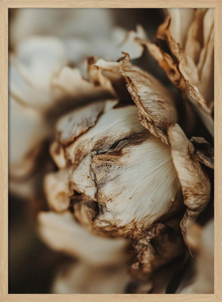 Flüsternde Blütenblätter | Poster