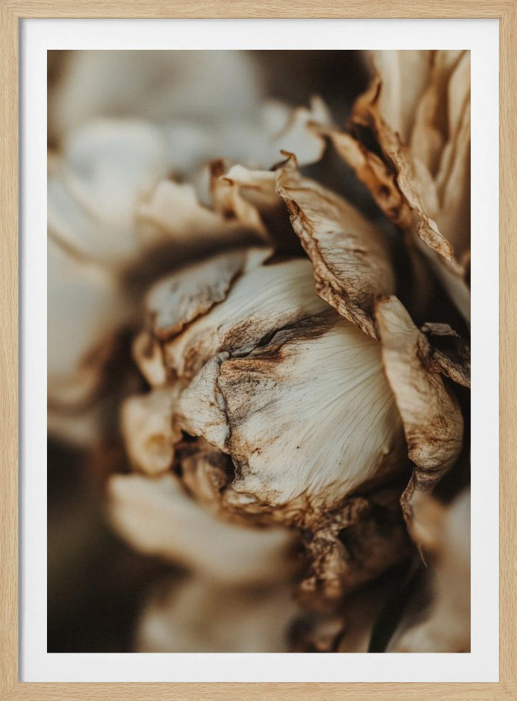 Flüsternde Blütenblätter | Poster