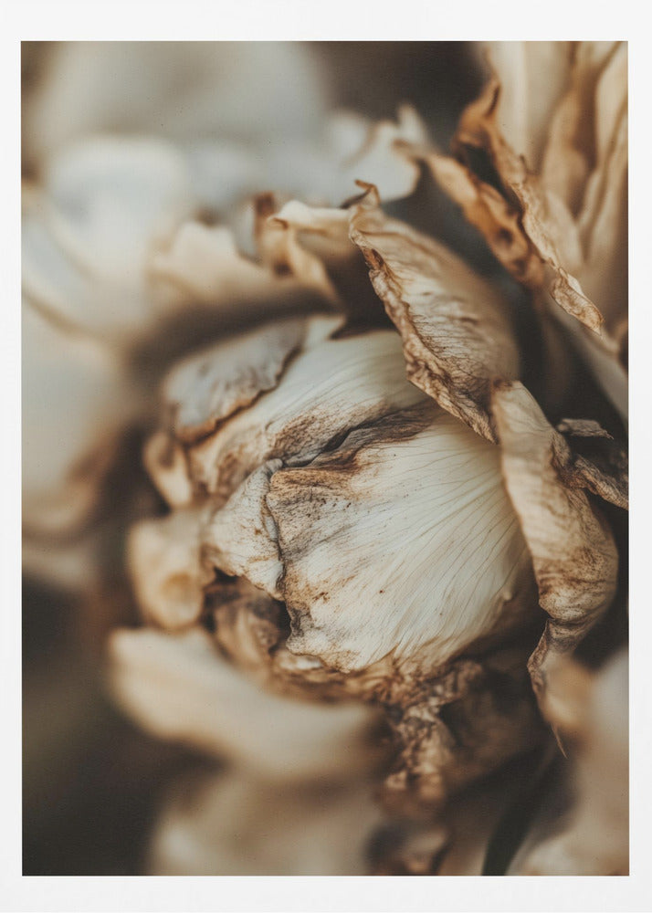 Flüsternde Blütenblätter | Poster