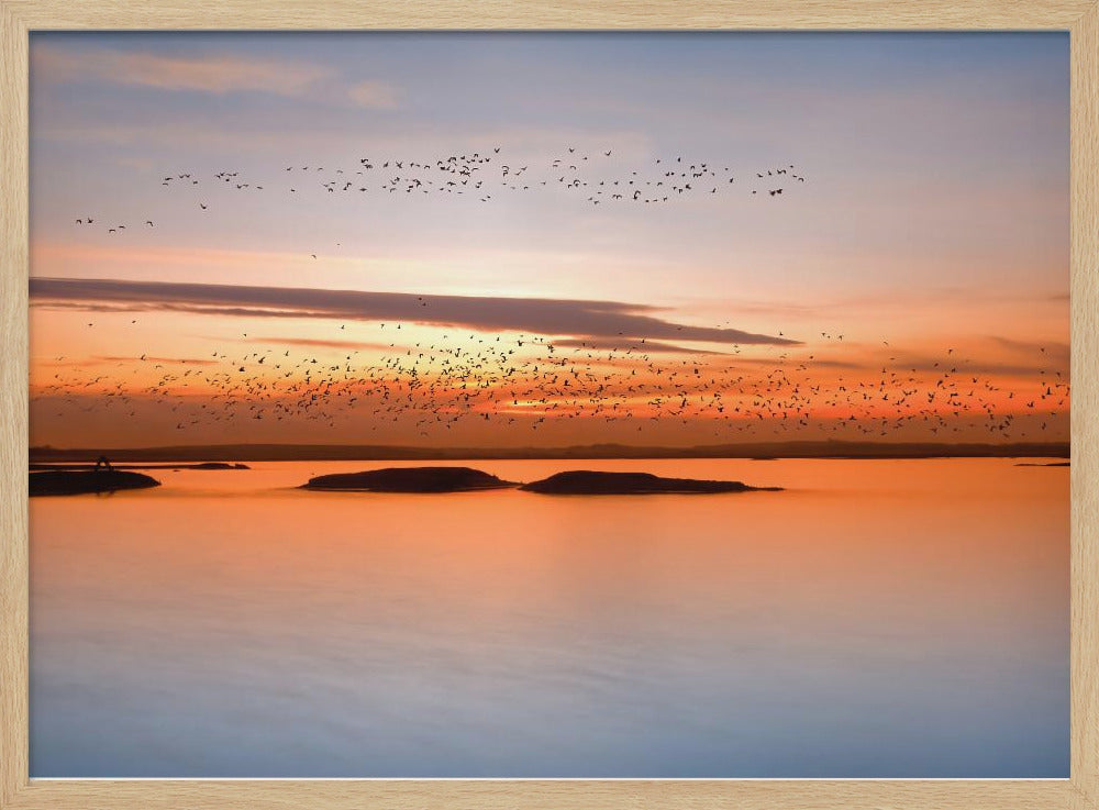 by sunset | Poster