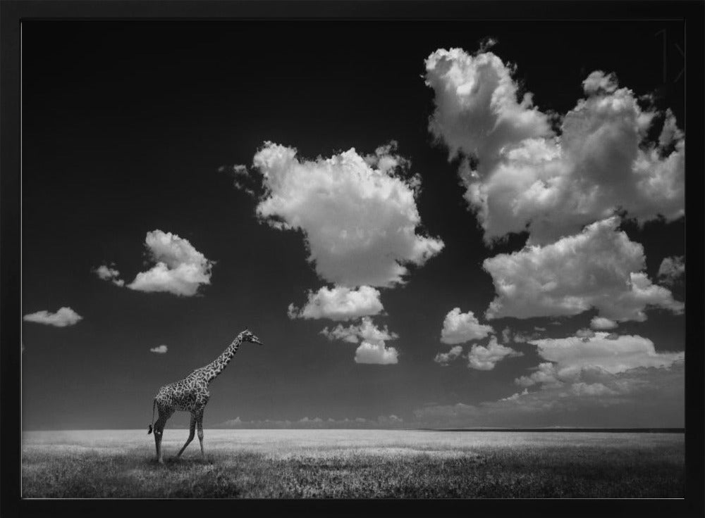 Pilvien viemää | Julisteet - Taidevedokset