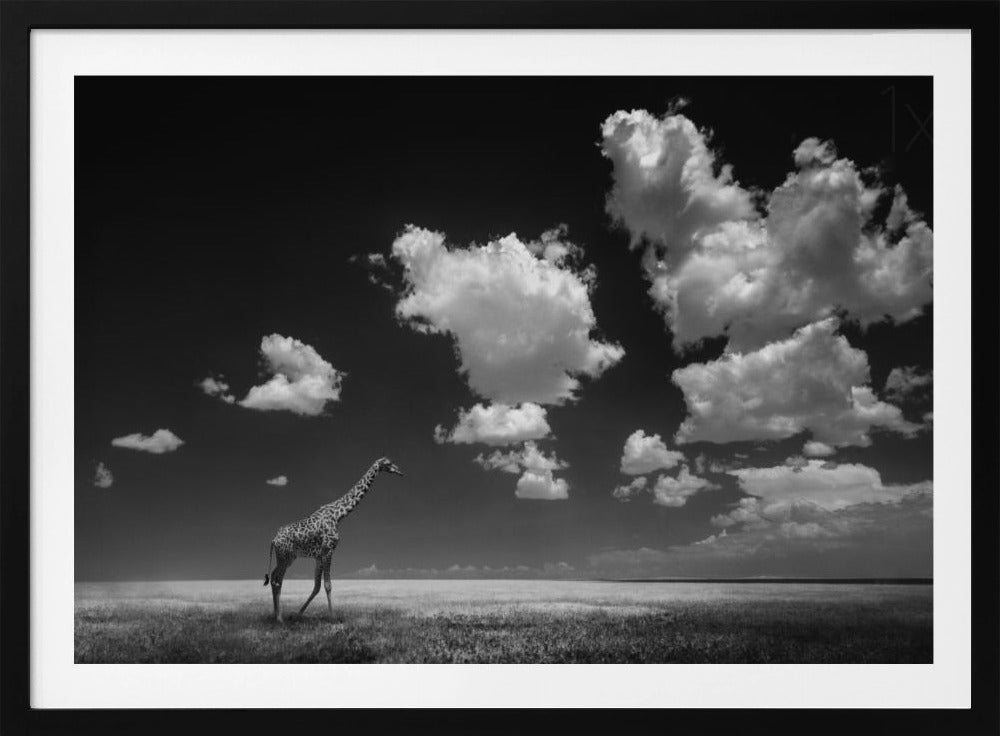 Pilvien viemää | Julisteet - Taidevedokset