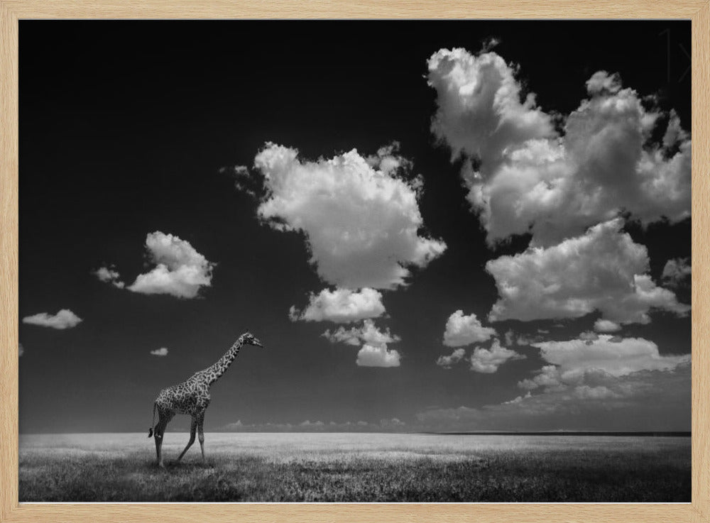 Pilvien viemää | Julisteet - Taidevedokset