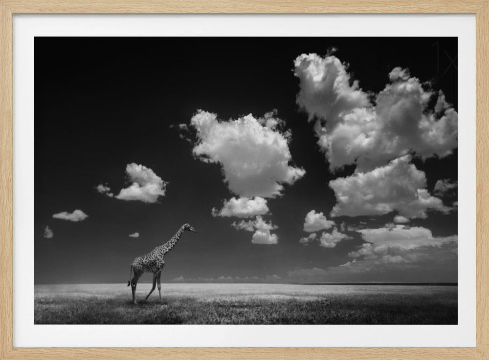 Pilvien viemää | Julisteet - Taidevedokset