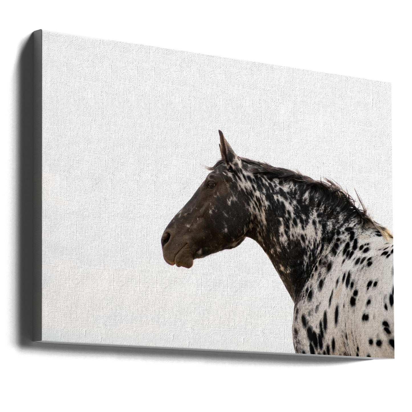 Andromeda 4 | Canvastaulut