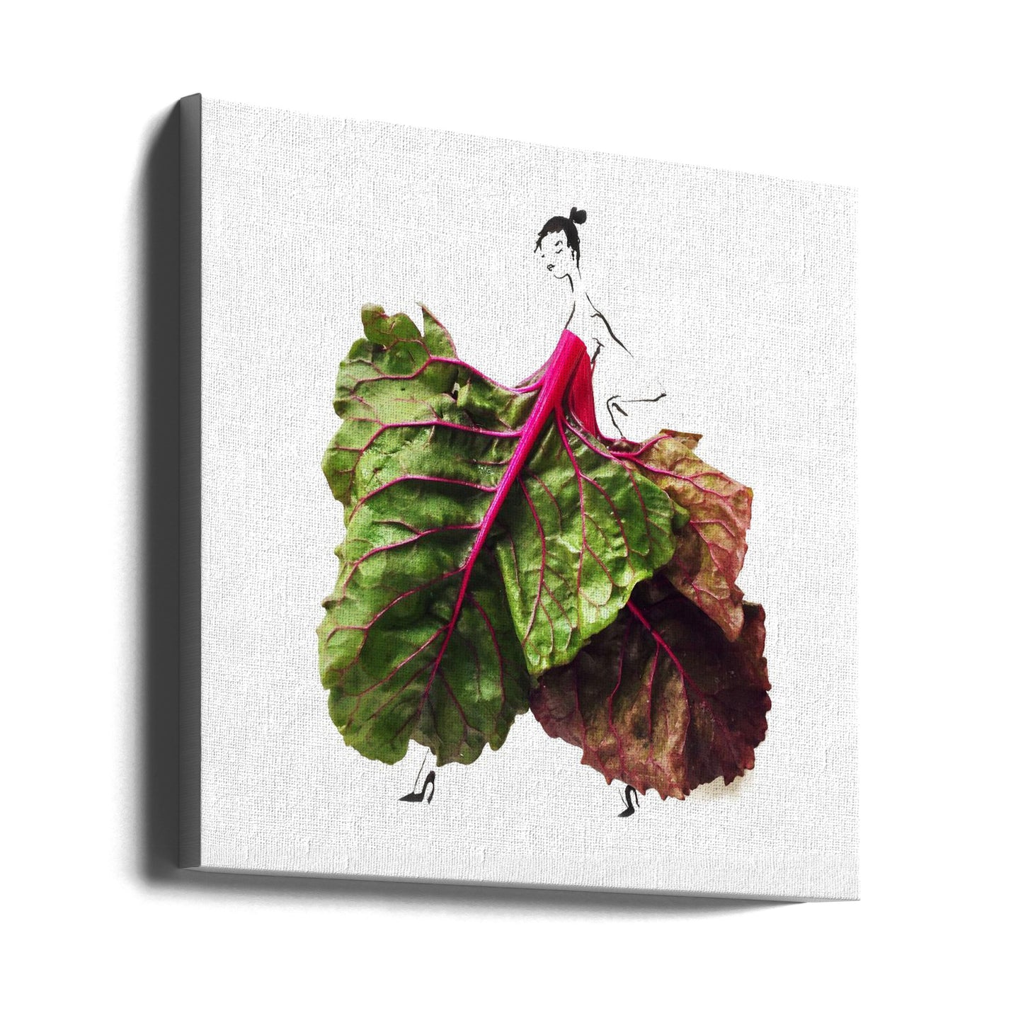 Mangold auf | Leinwand